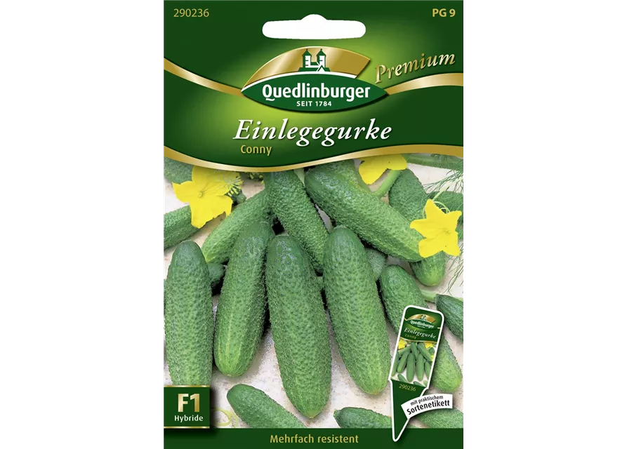 Gurkensamen 'Conny F1'