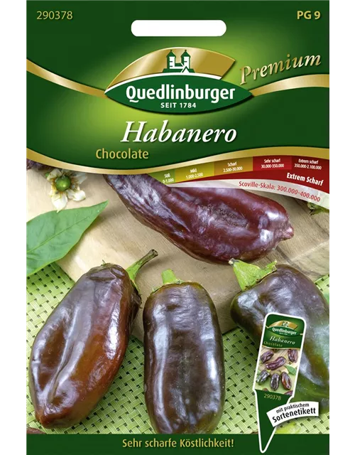 Habanerosamen 'Chocolate'