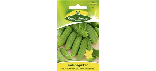 Gurkensamen 'Restina F1'