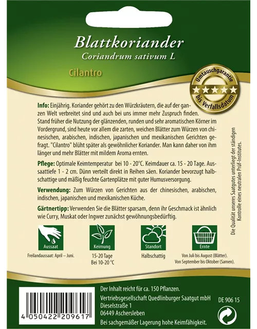 Koriandersamen 'Cilantro'
