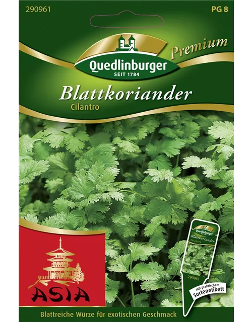 Koriandersamen 'Cilantro'