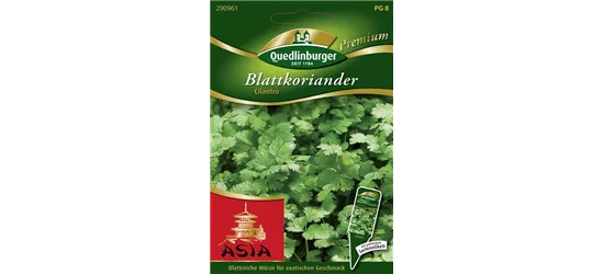 Koriandersamen 'Cilantro'