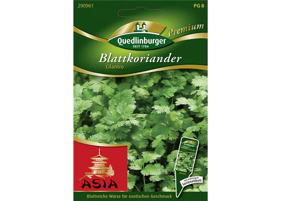Koriandersamen 'Cilantro'