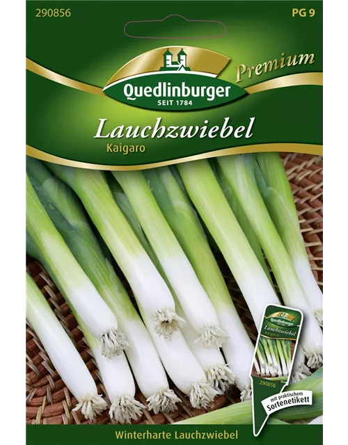 Lauchzwiebelsamen 'Kaigaro'