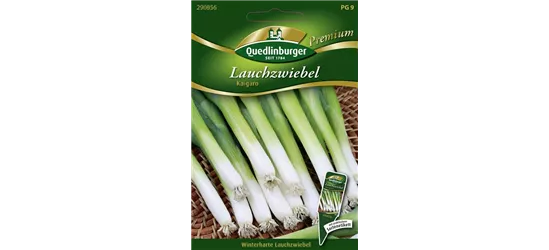 Lauchzwiebelsamen 'Kaigaro'