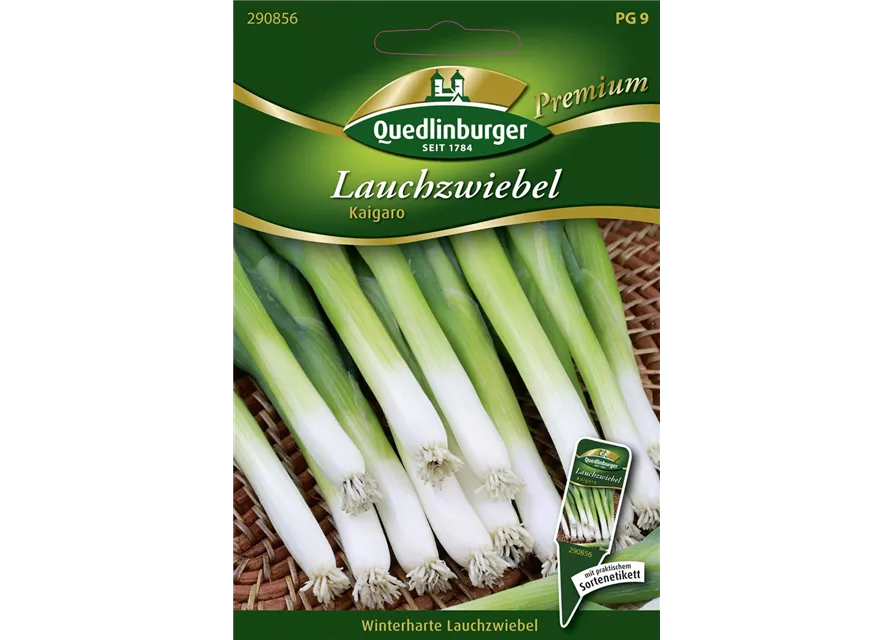 Lauchzwiebelsamen 'Kaigaro'