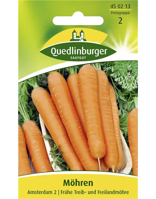 Möhrensamen 'Amsterdam 2'