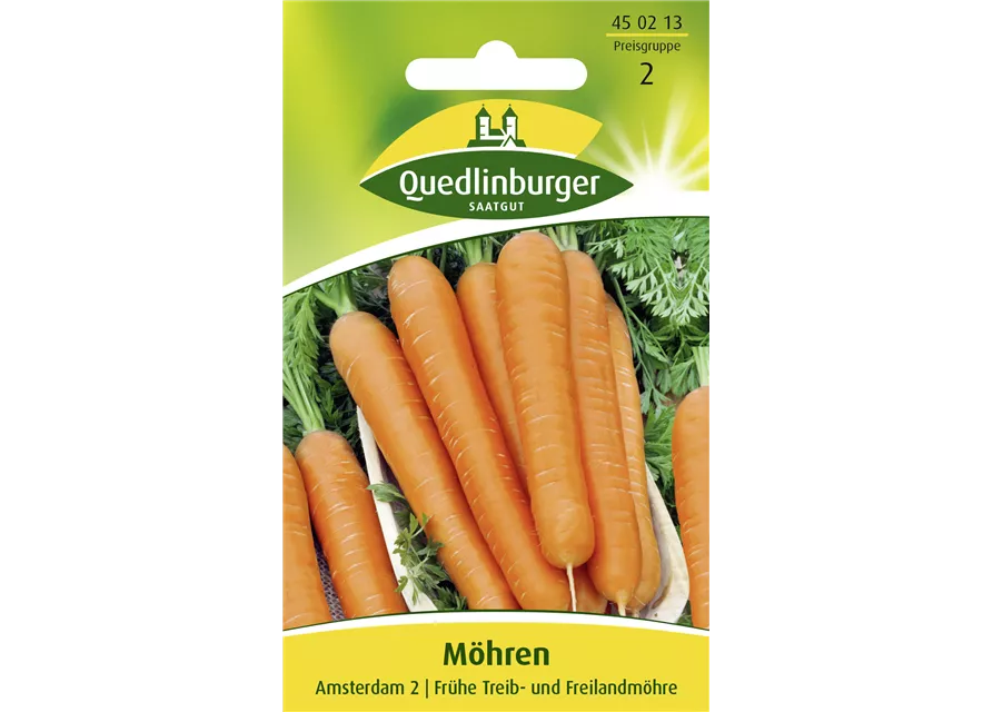 Möhrensamen 'Amsterdam 2'