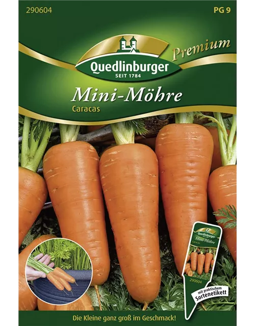 Möhrensamen 'Caracas'