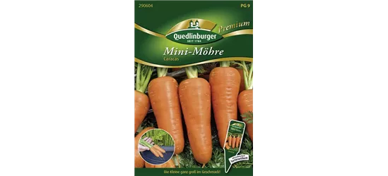 Möhrensamen 'Caracas'