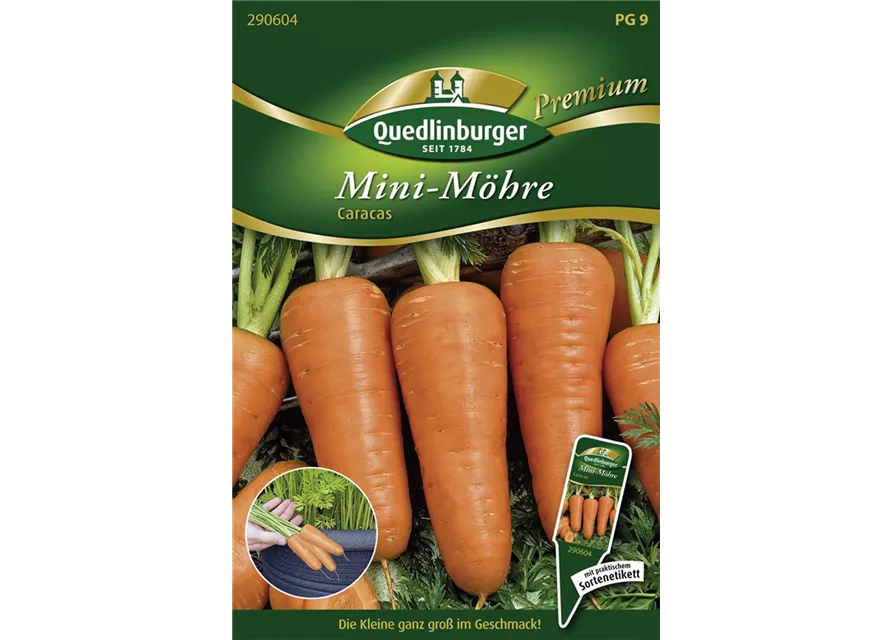 Möhrensamen 'Caracas'