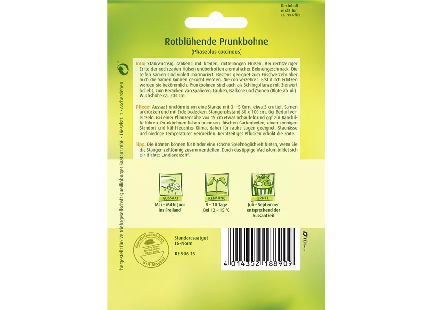 Prunkbohnensamen 'Rotblühende'