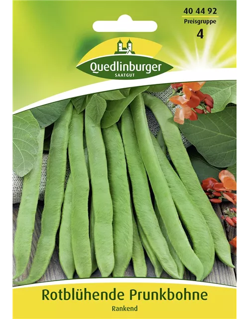 Prunkbohnensamen 'Rotblühende'