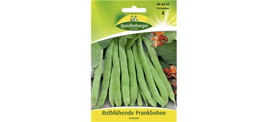 Prunkbohnensamen 'Rotblühende'