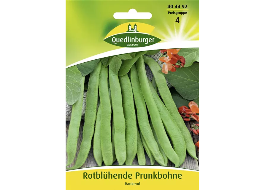 Prunkbohnensamen 'Rotblühende'