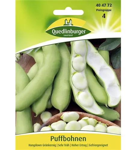 Puffbohnensamen 'Hangdown Grünkernig'