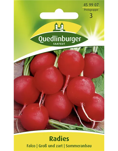 Radieschensamen 'Falco'