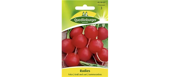 Radieschensamen 'Falco'
