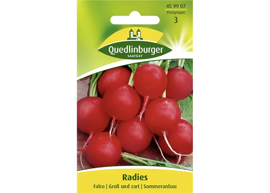 Radieschensamen 'Falco'