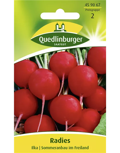Radieschensamen 'Ilka'