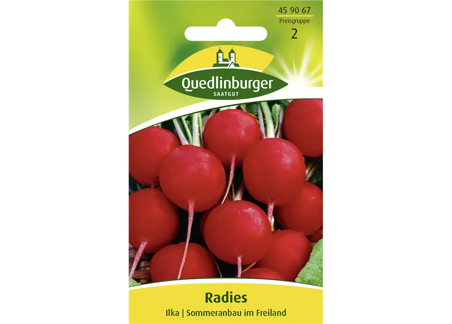 Radieschensamen 'Ilka'