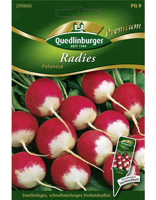 Radieschensamen 'Poloneza'