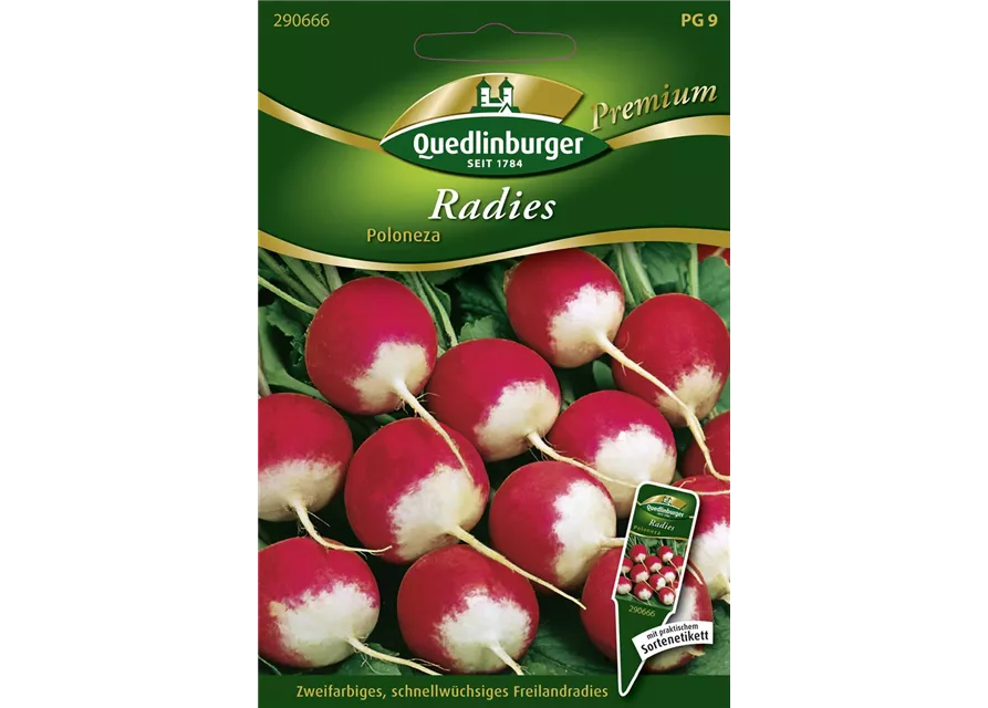 Radieschensamen 'Poloneza'