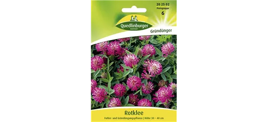 Rotkleesamen