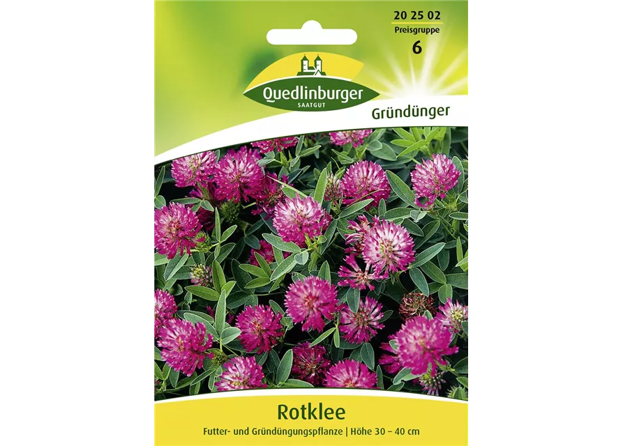 Rotkleesamen