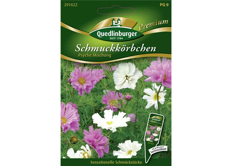 Schmuckkörbchensamen 'Psyche'