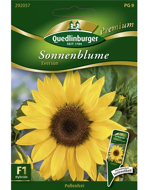 Sonnenblumennsamen 'Eversun'