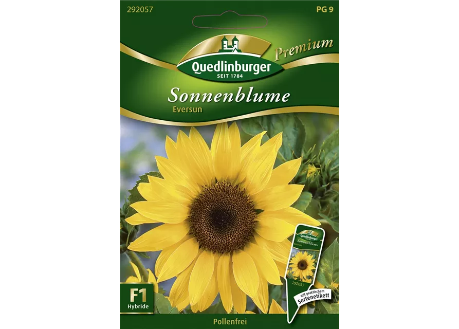 Sonnenblumennsamen 'Eversun'