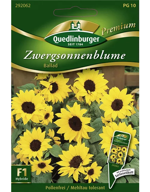 Sonnenblumensamen 'Ballad'