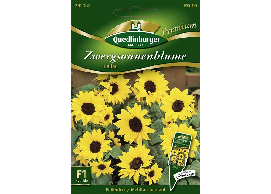 Sonnenblumensamen 'Ballad'