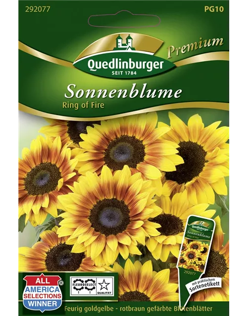Sonnenblumensamen 'Ring of Fire'