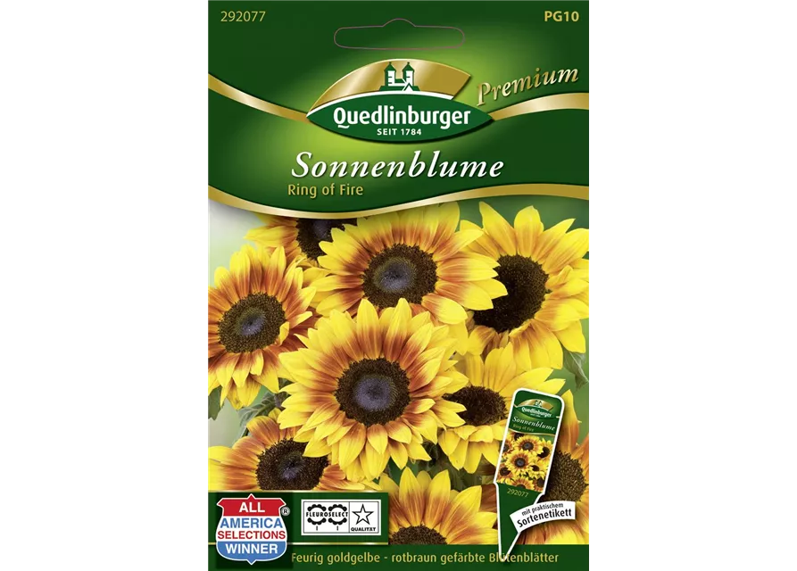 Sonnenblumensamen 'Ring of Fire'