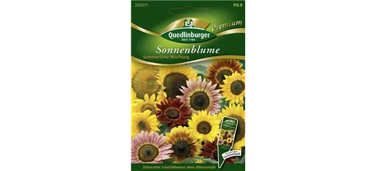 Sonnenblumensamen 'Summertime Mix'