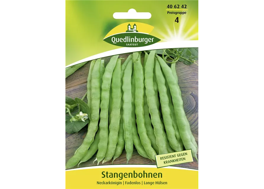 Stangenbohnensamen 'Neckarkönigin'