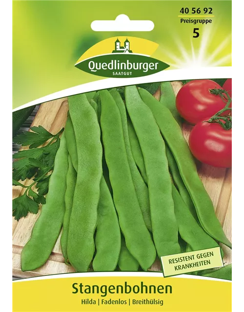 Stangenbohnensamen 'Hilda'