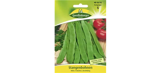 Stangenbohnensamen 'Hilda'