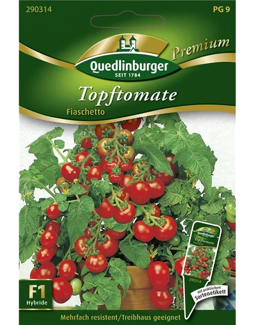 Tomatensamen 'Fiaschetto F1'
