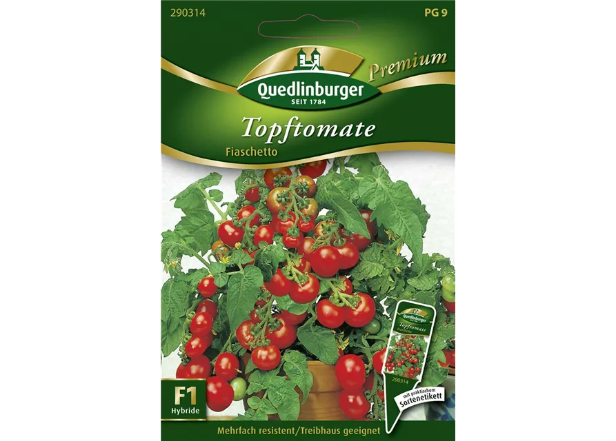 Tomatensamen 'Fiaschetto F1'