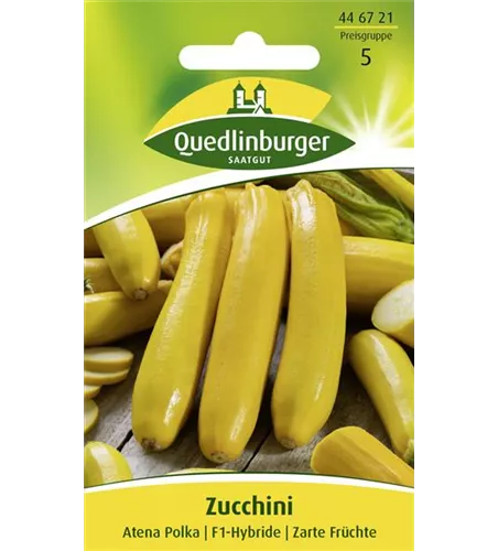 Zucchinisamen 'Atena Polka'