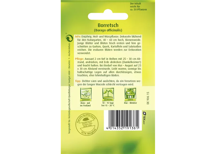 Borretschsamen