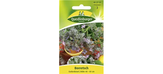 Borretschsamen