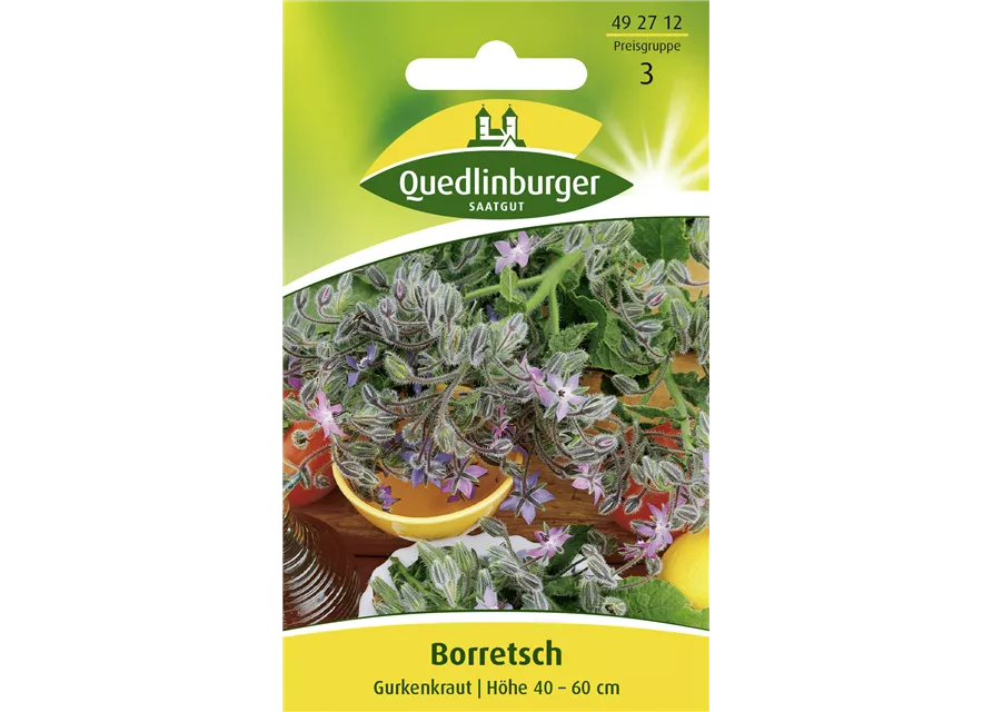 Borretschsamen