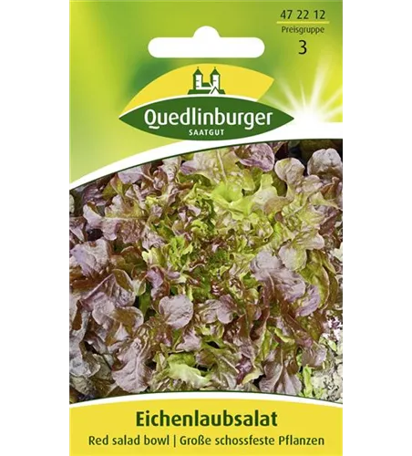 Eichblattsalatsamen 'Red Salad Bowl'