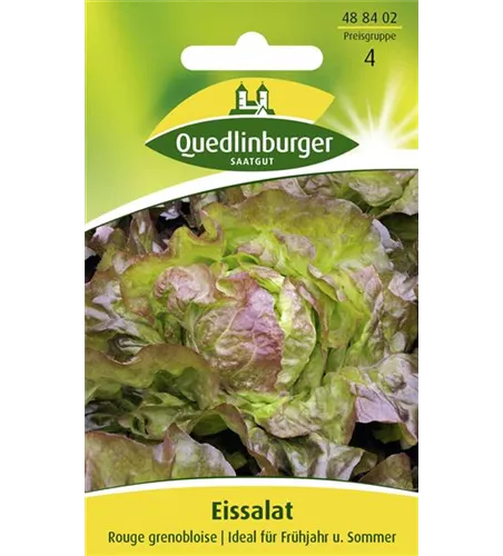 Eisbergsalatsamen 'Rouge Grenobloise'