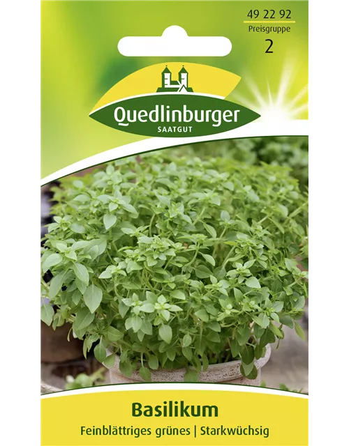 Garten-Basilikum-Samen 'Feinblättriges Grünes'