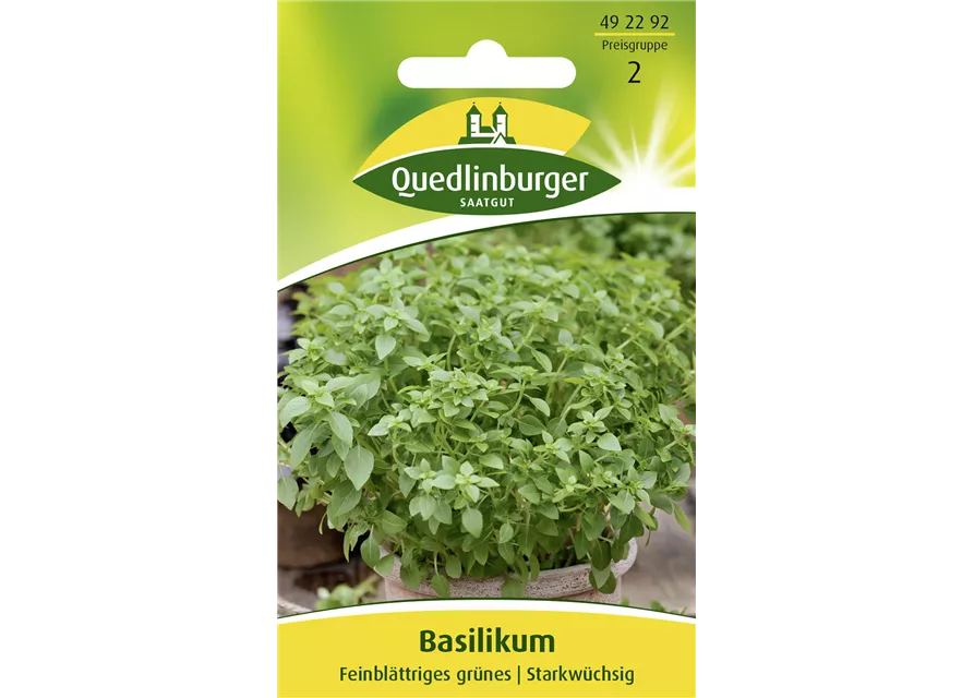 Garten-Basilikum-Samen 'Feinblättriges Grünes'
